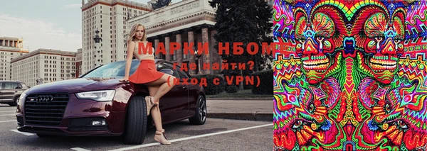 PSILOCYBIN Зеленодольск