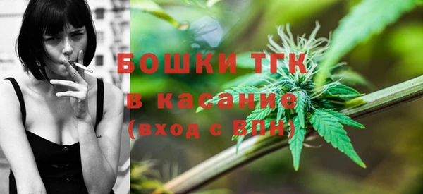 PSILOCYBIN Зеленодольск
