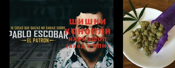PSILOCYBIN Зеленодольск