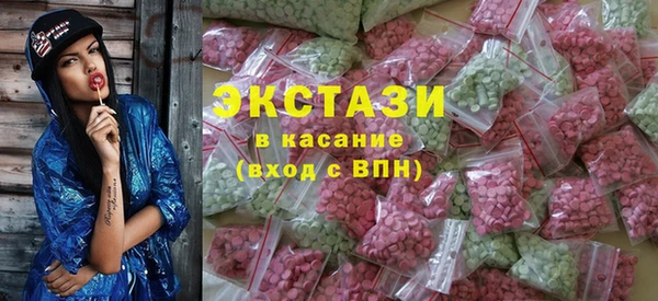 индика Инта