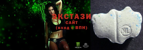 индика Инта