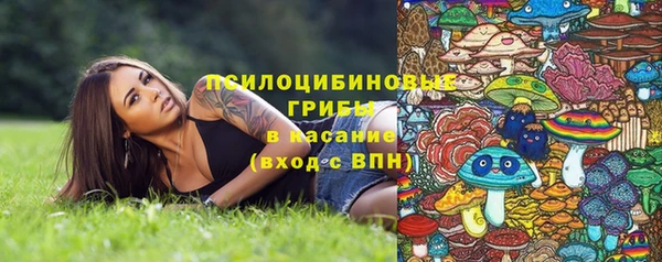 индика Инта