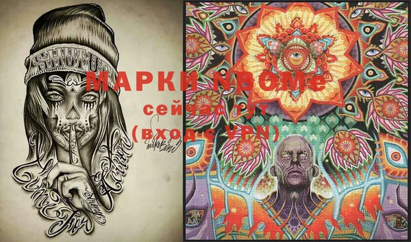 PSILOCYBIN Зеленодольск
