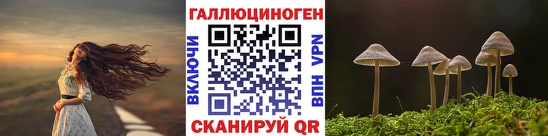 как найти   площадка клад  Галлюциногенные грибы GOLDEN TEACHER  Камызяк 